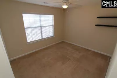 5 Redbrush Court, Chapin, SC 29036 - Photo 23