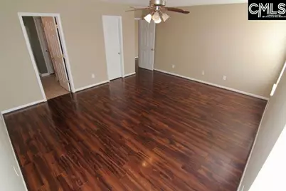 5 Redbrush Court, Chapin, SC 29036 - Photo 19