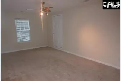 5 Redbrush Court, Chapin, SC 29036 - Photo 33