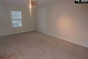 5 Redbrush Ct, Chapin, SC 29036 - Photo 33