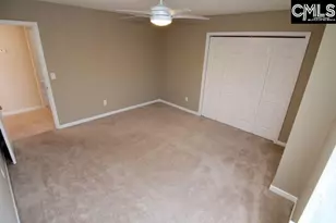 5 Redbrush Ct, Chapin, SC 29036 - Photo 25