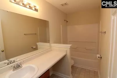 5 Redbrush Court, Chapin, SC 29036 - Photo 37