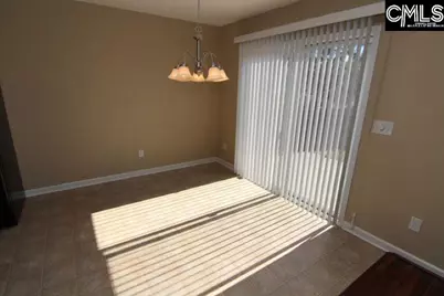 5 Redbrush Court, Chapin, SC 29036 - Photo 17