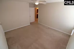 5 Redbrush Ct, Chapin, SC 29036 - Photo 29