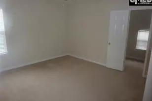 5 Redbrush Ct, Chapin, SC 29036 - Photo 31