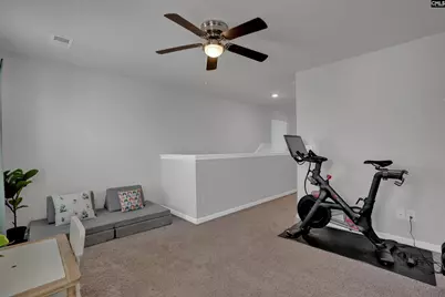 913 Tanreall Drive, Lexington, SC 29073 - Photo 21