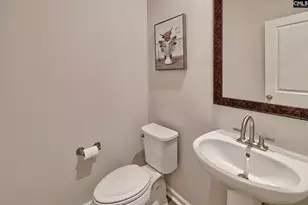 630 Basalt Ct, Chapin, SC 29036 - Photo 19
