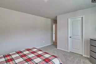 630 Basalt Ct, Chapin, SC 29036 - Photo 31