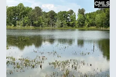 1189 Beech Creek Road, Johnston, SC 29832 - Photo 15