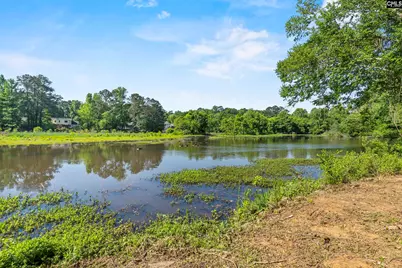 243 Bishopgate Road, Columbia, SC 29212 - Photo 41