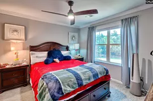 201 Glen Arbor Loop, Irmo, SC 29063 - Photo 35