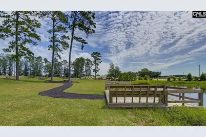 198 Ruby Prince Road, Gilbert, SC 29054 - Photo 3