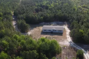 247 S Dixie Rd, Wagener, SC 29164 - Photo 1