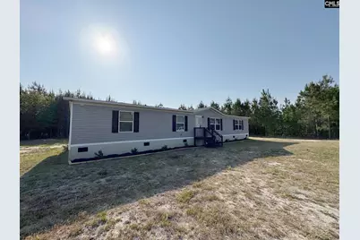 247 S Dixie Road, Wagener, SC 29164 - Photo 3