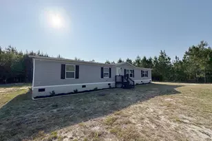247 S Dixie Rd, Wagener, SC 29164 - Photo 3