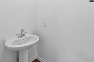 773 Ben Gunn Run, Gilbert, SC 29054 - Photo 13