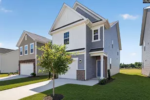 773 Ben Gunn Run, Gilbert, SC 29054 - Photo 3