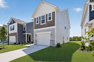 785 Ben Gunn Run, Gilbert, SC 29054 - Photo 3