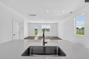785 Ben Gunn Run, Gilbert, SC 29054 - Photo 21