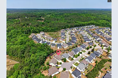 436 Maria Posada Ct, Chapin, SC 29036 - Photo 5