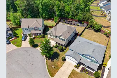 436 Maria Posada Ct, Chapin, SC 29036 - Photo 11