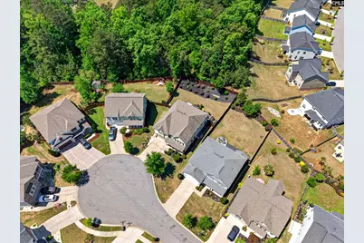436 Maria Posada Ct, Chapin, SC 29036 - Photo 7