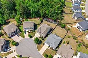 436 Maria Posada Ct, Chapin, SC 29036 - Photo 7