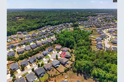 436 Maria Posada Ct, Chapin, SC 29036 - Photo 7