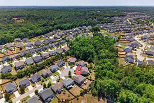 436 Maria Posada Ct, Chapin, SC 29036 - Photo 7