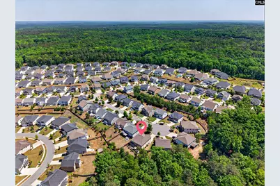 436 Maria Posada Ct, Chapin, SC 29036 - Photo 5