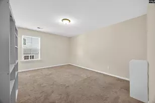 436 Maria Posada Ct, Chapin, SC 29036 - Photo 43