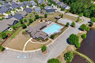 436 Maria Posada Ct, Chapin, SC 29036 - Photo 71