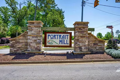 436 Maria Posada Ct, Chapin, SC 29036 - Photo 75