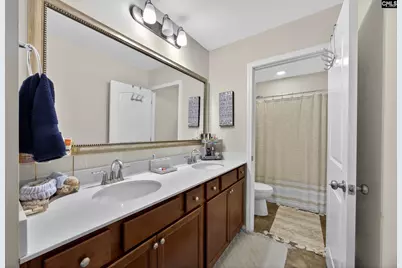 436 Maria Posada Ct, Chapin, SC 29036 - Photo 47