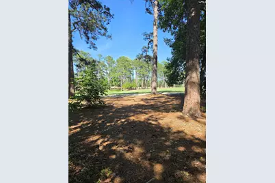 124 Creekside Cottage Court, Blythewood, SC 29016 - Photo 7
