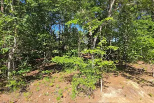 124 Creekside Cottage Ct, Blythewood, SC 29016 - Photo 5