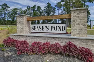 205 Ruby Prince Rd, Gilbert, SC 29054 - Photo 41
