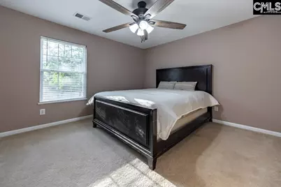 280 Walkbridge Way, Chapin, SC 29036 - Photo 41