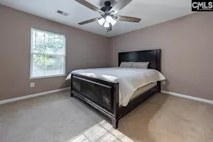 280 Walkbridge Way, Chapin, SC 29036 - Photo 41