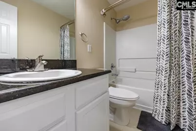 280 Walkbridge Way, Chapin, SC 29036 - Photo 37