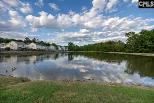 280 Walkbridge Way, Chapin, SC 29036 - Photo 47