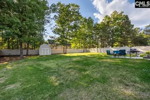 280 Walkbridge Way, Chapin, SC 29036 - Photo 7