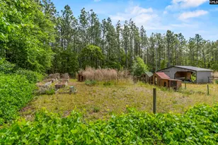 1221 Martin Smith Rd, Gilbert, SC 29054 - Photo 53