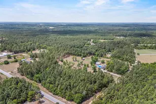 1221 Martin Smith Rd, Gilbert, SC 29054 - Photo 63
