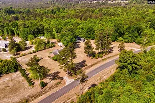 133 Pleasant Home Rd, Blackville, SC 29817 - Photo 37