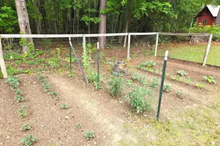 12205 Broad River Rd, Little Mountain, SC 29075 - Photo 59
