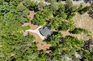625 Mallard Dr, Chapin, SC 29036 - Photo 45