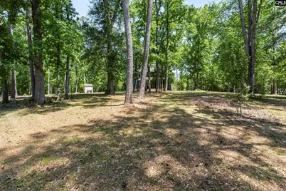 625 Mallard Drive, Chapin, SC 29036 - Photo 41