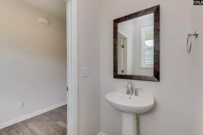 322 Welbeck Road, Lexington, SC 29073 - Photo 19