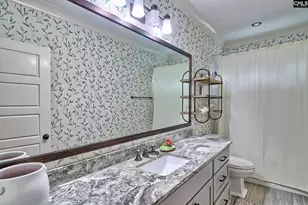 408 Little Key Ct, Chapin, SC 29036 - Photo 59